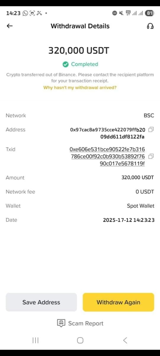 Flash USDT payment confirmation